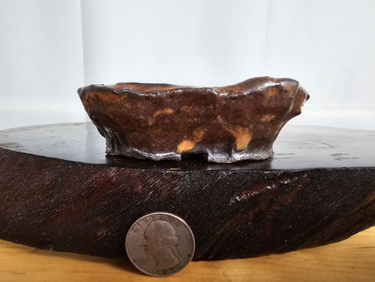 Shino Oval #1
