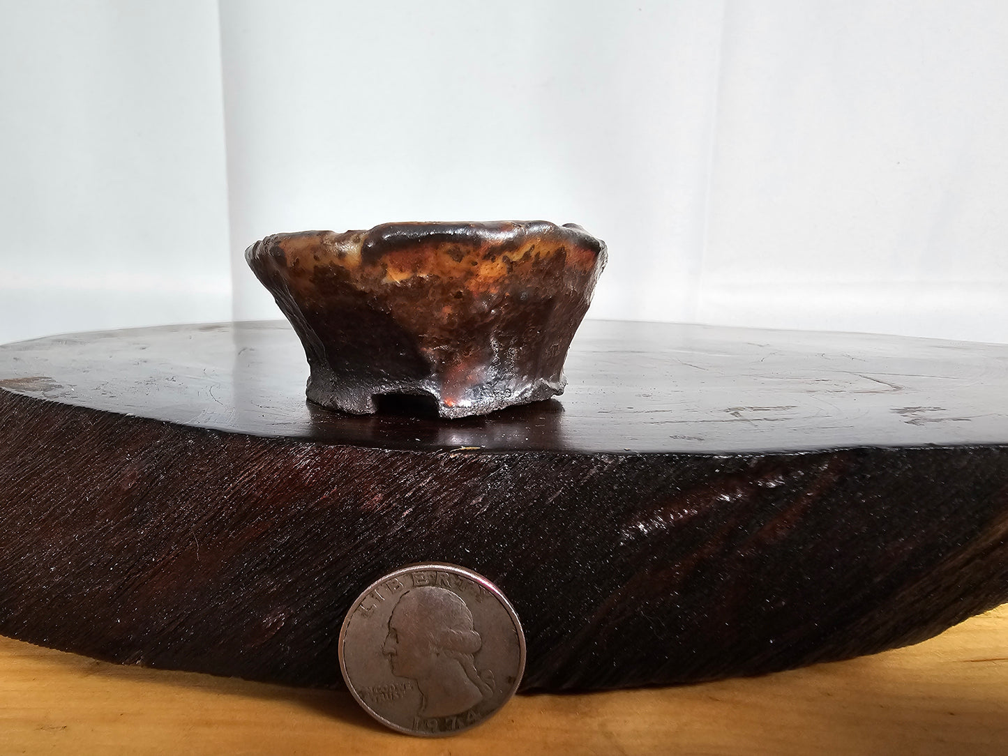 Shino Oval #1
