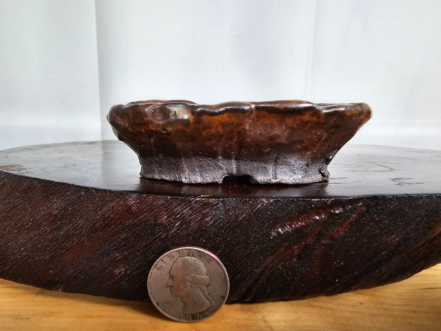 Shino Oval #1