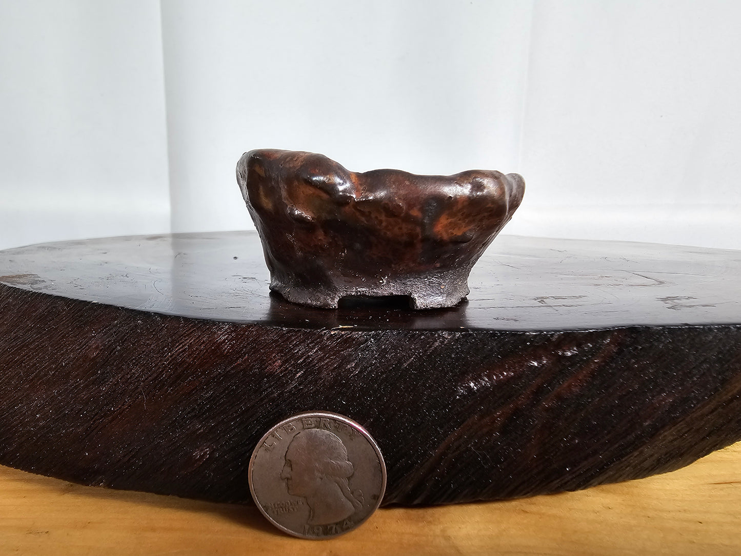 Shino Oval #1
