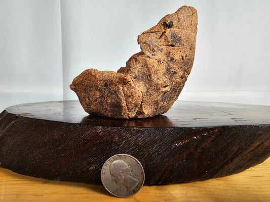 Unglazed Sandy Crescent #1