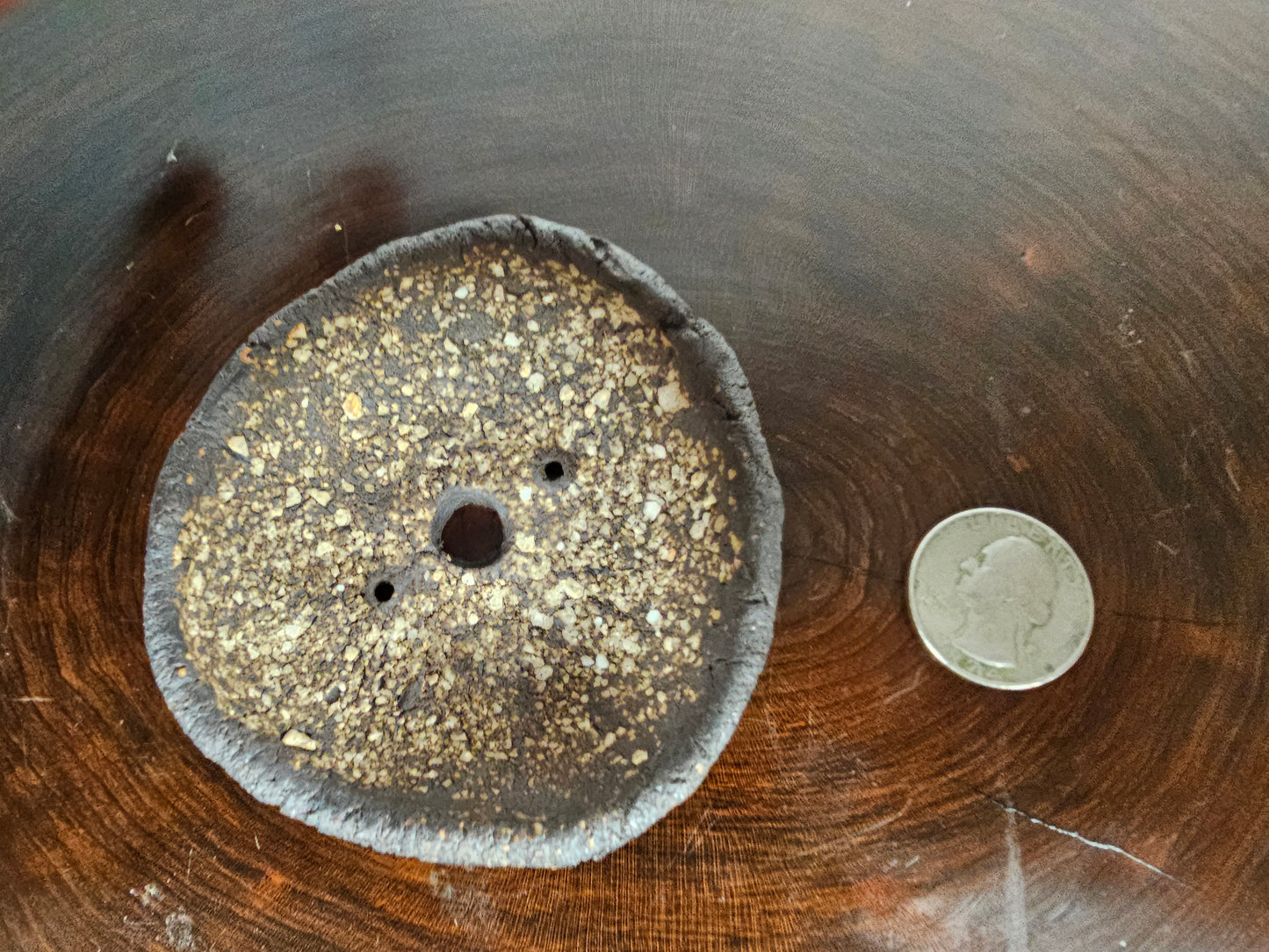 Primitive Speckled Round #1